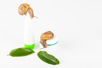 Cosmetics made with snail slime. Very healthy and organic products