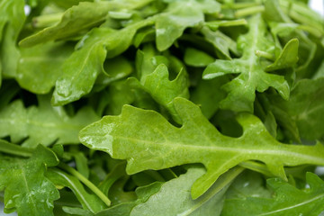 Closeup leaves of fresh arugula rucola salat