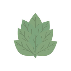 leaf plant garden nature icon