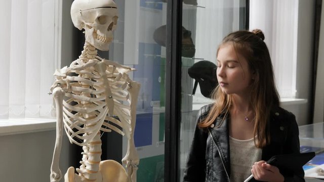 Teenager cute girl makes draw sketches in graphic tablet of human skeleton in museum of nature as part of school task of biology