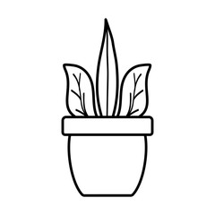 house plant in ceramic pot