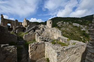 Fototapeta premium cleto