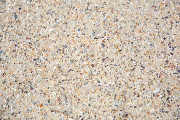 Sand with shells. Beach sand on sea shore. Texture of natural sand with shells on beach.