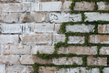 Decorative white brick wall with moss, design elements.