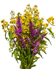 Bouquet of wild flowers on white background