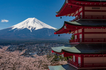 Chureito Pagoda and Mt. Fuji in the spring time with cherry blossoms at Fujiyoshida, Japan.