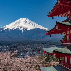 Fototapeta premium Chureito Pagoda and Mt. Fuji in the spring time with cherry blossoms at Fujiyoshida, Japan.