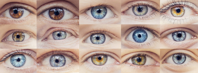 Set collage of people eyes are blue and brown color