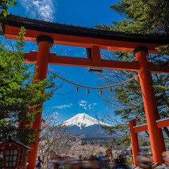 Chureito Pagoda and Mt. Fuji in the spring time with cherry blossoms at Fujiyoshida, Japan.