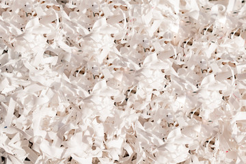 Texture image of white chips