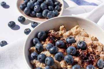 Oatmeal with blueberies and cocoa powder in a round bowl, Close.