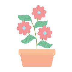 flowers garden in square ceramic pot decoration