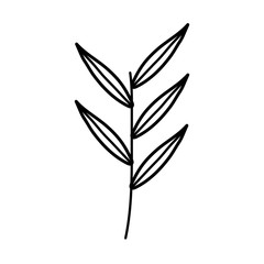 branch with leafs plants garden