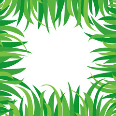 Obraz premium Decorative background with green grass isolated on white background. Square frame in nature style, space for your text. Vector illustration