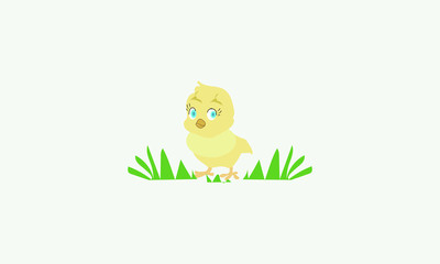 Little yellow chicken on green grass on a white background. Vector illustration.