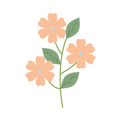 flowers garden plant decorative icon
