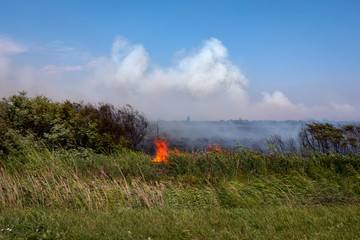 dry grass burning on the field on a hot day