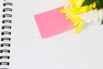 blank Sticky Note card for message,greeting,love showing,excuse related concept  with flower in white background