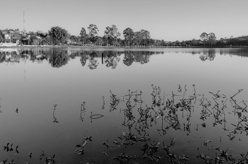 Parque do Lago - Tuiuti