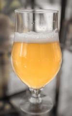 One single glass of cold beer with foam on it. Close-up of a beer's glass with transparent glass around.