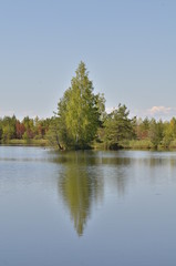 landscape with lake and trees