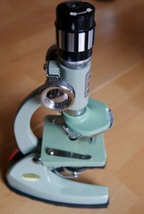 Untersuchung unter Mikroskop