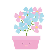 garden flowers plant in square pot kawaii character