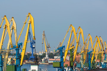Naklejka premium Industrial landscape with port cranes of yellow and blue colors in the port on the background of the city view
