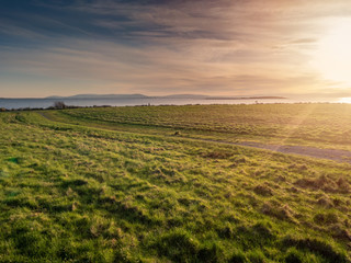 Sunset over a meadow. Green grass, soft evening lighting, Sun rays and flare, Warm glow. Blue cloudy sky.