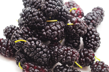 Ripe beautiful mulberry with leaves.
