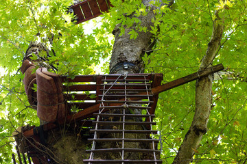 Wooden staircase leading up the tree. At the top of the tree is built a summer holiday home.