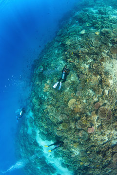 Coral Formations with Divers