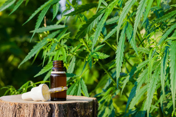 Hemp CBD oil pipette, marijuana oil bottle, cannabis extracts in jars, medical marijuana, alternative medicine