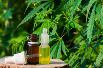 Hemp CBD oil pipette, marijuana oil bottle, cannabis extracts in jars, medical marijuana, alternative medicine