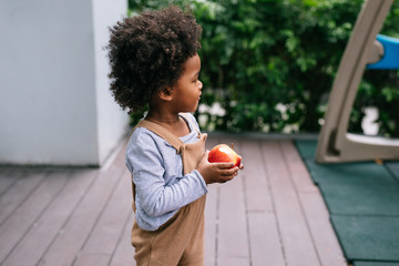 Boy Eating an Apple