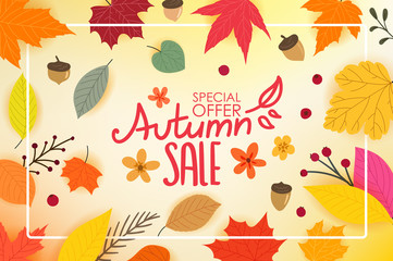 Color autumn leaves with white frame. Autumn sale special offer