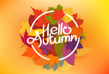 Hello autumn vector concept with color leaves