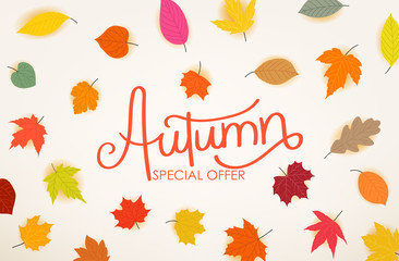 Autumn special offer calligraphic logo with color fall leaves. Special offer