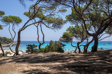 Cala Agulla à Majorque