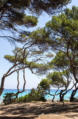 Cala Agulla à Majorque