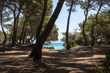 Obraz premium cala agulla à Majorque