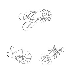 Fototapeta premium Isolated object of food and sea icon. Collection of food and animal stock symbol for web.