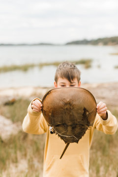 boy holding a horseshoe crab in front of his face
