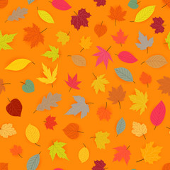 Naklejka na ściany i meble Autumn leaves vector seamless pattern