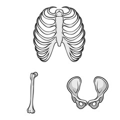 Vector design of biology and medical icon. Collection of biology and skeleton stock vector illustration.