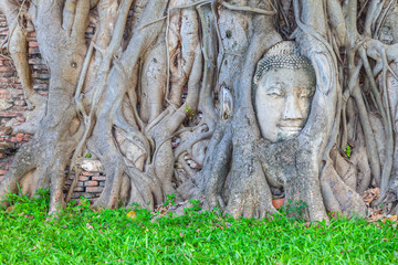 Famous Buddha Head with Banyan Tree Root at Wat Mahathat Temple in Ayutthaya Historical Park, Ancient Buddha's face in a tree.