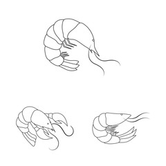 Vector illustration of food and sea logo. Collection of food and animal stock vector illustration.