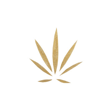 foglia dorata di marijuana sfonso bianco isolato
