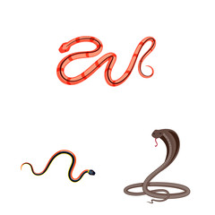 Vector design of poison and evil sign. Collection of poison and bite stock vector illustration.