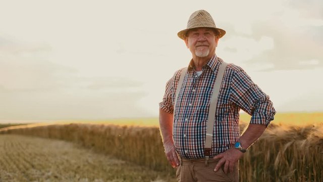 Portrait shot of the Caucasian happy old farmer in a hat and plaid shirt looking and smiling to the camera on the sunset in the middle of the wheat field while holding hands to the sides.